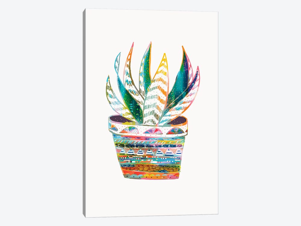Succulent, Rainbow by EttaVee 1-piece Canvas Art