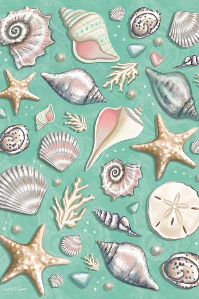 Elizabeth Tyndall: Seashell Toss by Elizabeth Tyndall