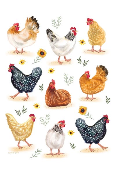 Chickens