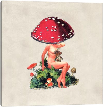 Eugenia Loli - Shroom Girl Canvas Art Print - Vegetable Art