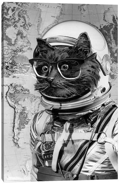 Eugenia Loli - Space Kitten Canvas Art Print - Pet Obsessed