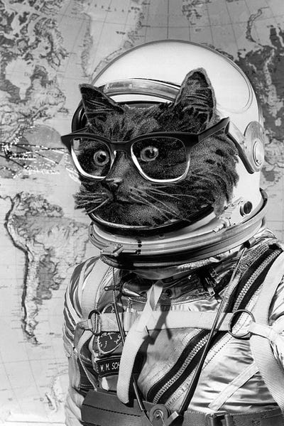 Kids Astronomy & Space Art: Eugenia Loli - Space Kitten by Eugenia Loli