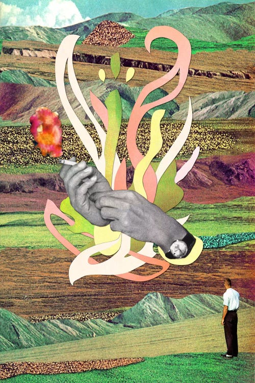 Eugenia Loli - Things You Find In The Wild by Eugenia Loli wall art