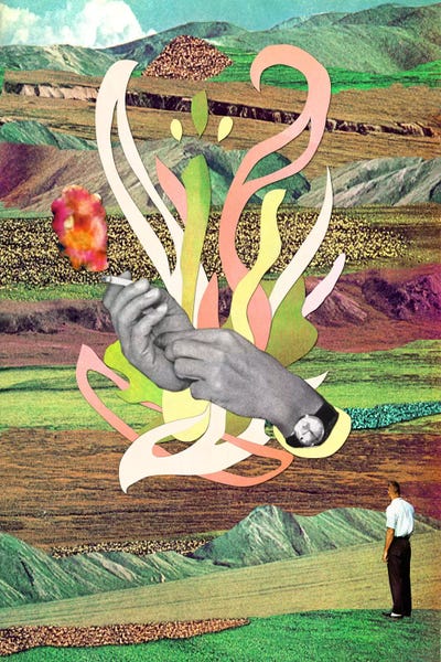 Eugenia Loli: Eugenia Loli - Things You Find In The Wild by Eugenia Loli