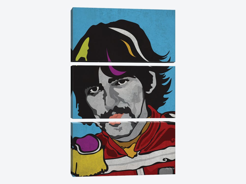 Harrison Sgt Peppers by Edú Marron 3-piece Canvas Wall Art