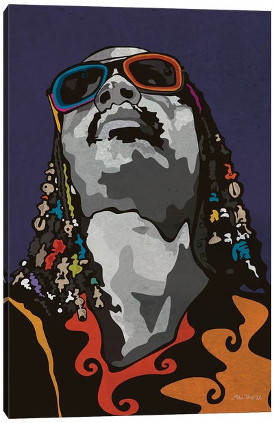 Stevie Wonder Canvas Art Print - Pop Collage