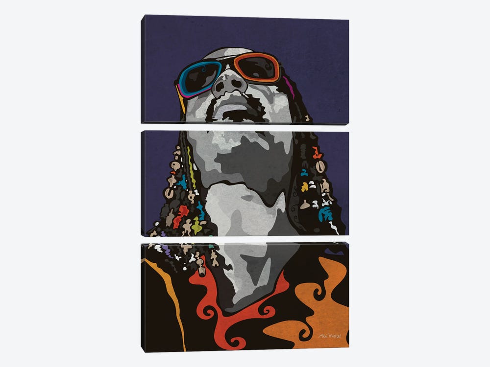 Stevie Wonder by Edú Marron 3-piece Canvas Art