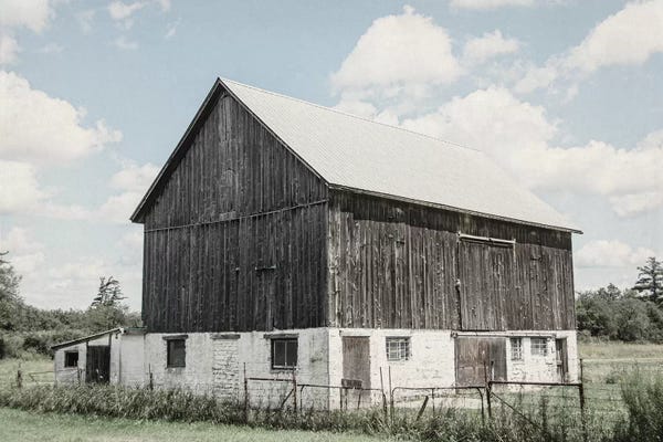 Photography: Weathered IV by Elizabeth Urquhart