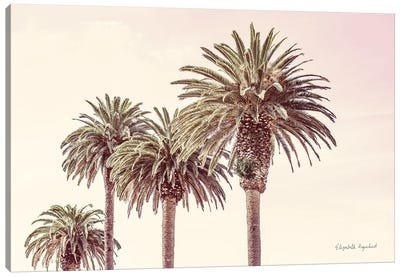 Pastel Palms Canvas Art Print