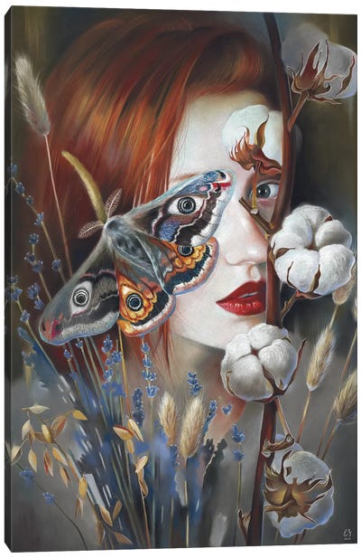 Moth Canvas Art Print - Eugenia Shchukina