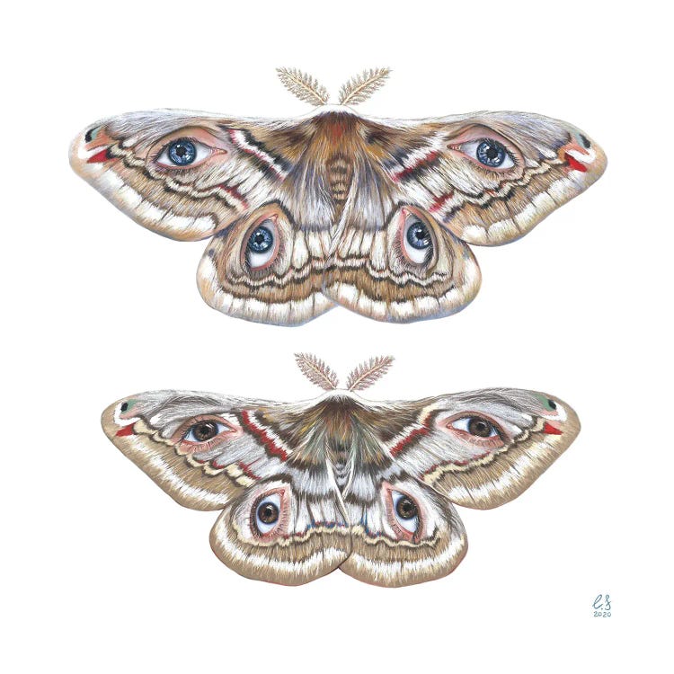 Two Moth