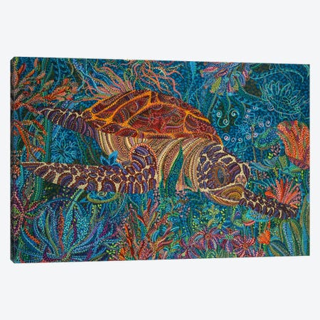 Turtle Canvas Print #EVA38} by Ebova Canvas Art