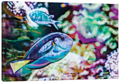 Vibrant Reef V Canvas Art Print