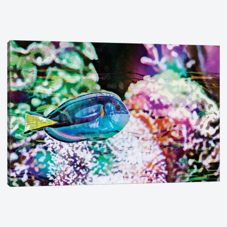 Vibrant Reef VI Canvas Print #EVB24} by Eva Bane Canvas Print