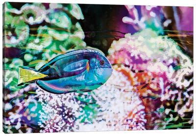 Vibrant Reef VI Canvas Art Print