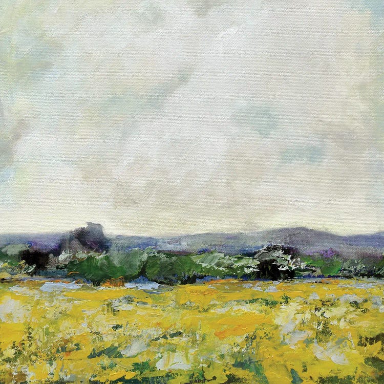 Marigold Field