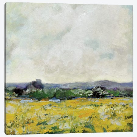 Marigold Field Canvas Print #EVD23} by Evelia Designs Canvas Art