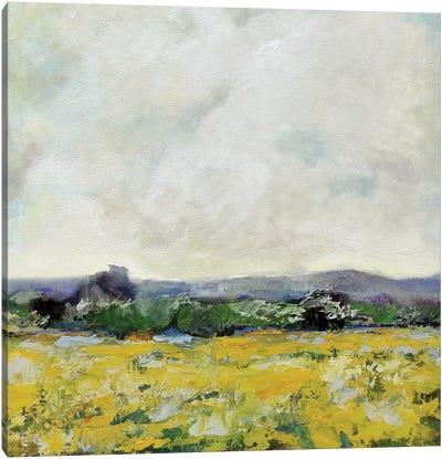 Marigold Field Canvas Art Print