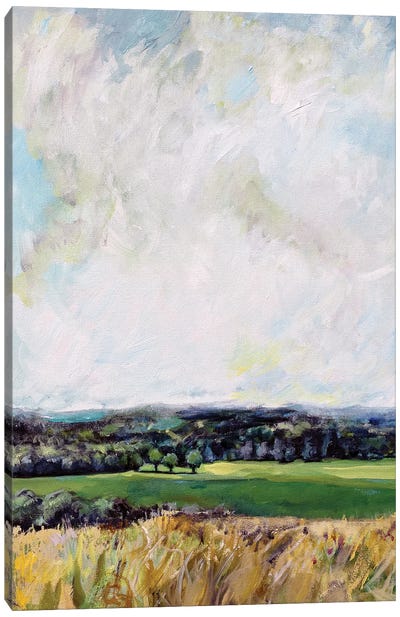 Mount Jeez Overlook I Canvas Art Print