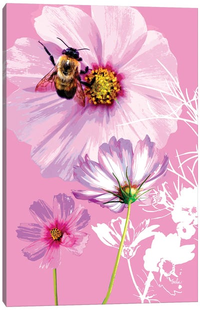 Bee On Cosmos Canvas Art Print - Evelia Designs