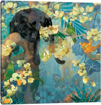 Black Jaguar Canvas Art Print