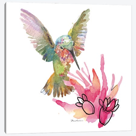 Desert Hummingbird Canvas Print #EVD30} by Evelia Designs Canvas Art Print