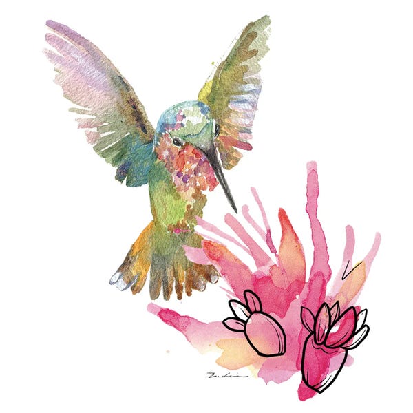 Desert Hummingbird