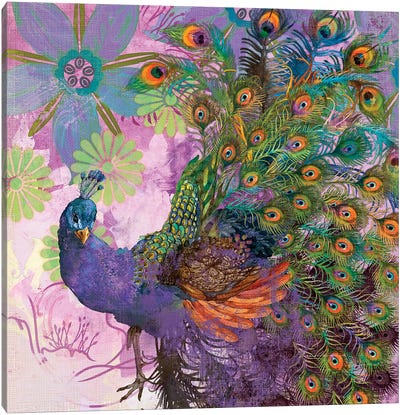 Peacock Prance Canvas Art Print - Evelia Designs