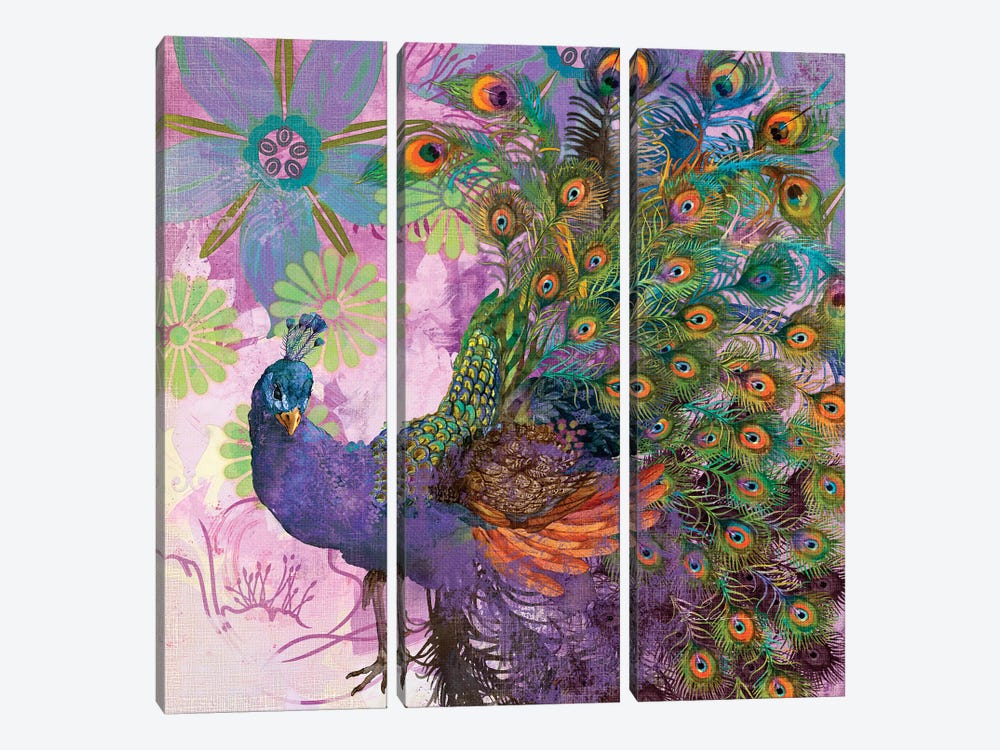 Peacock Prance by Evelia Designs 3-piece Art Print