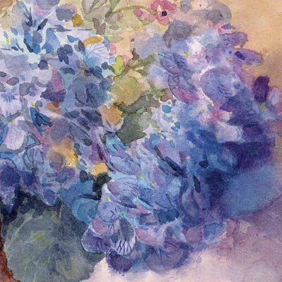 Periwinkle Hydrangeas II by Evelia Designs art print