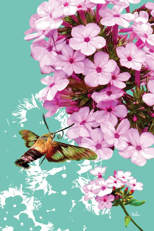 Clearwing On Flox