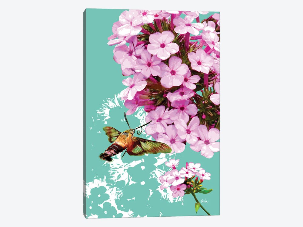 Clearwing On Flox by Evelia Designs 1-piece Canvas Artwork