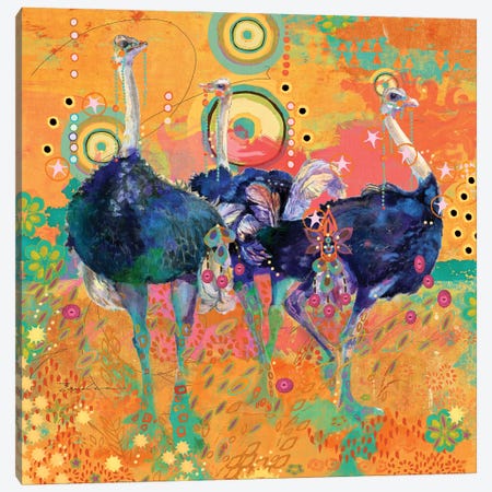 Three Ostrich Canvas Print #EVD47} by Evelia Designs Canvas Print