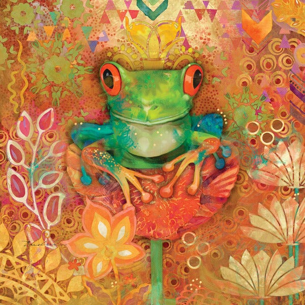 Frogs: Red-Eyed Tree Frog by Evelia Designs
