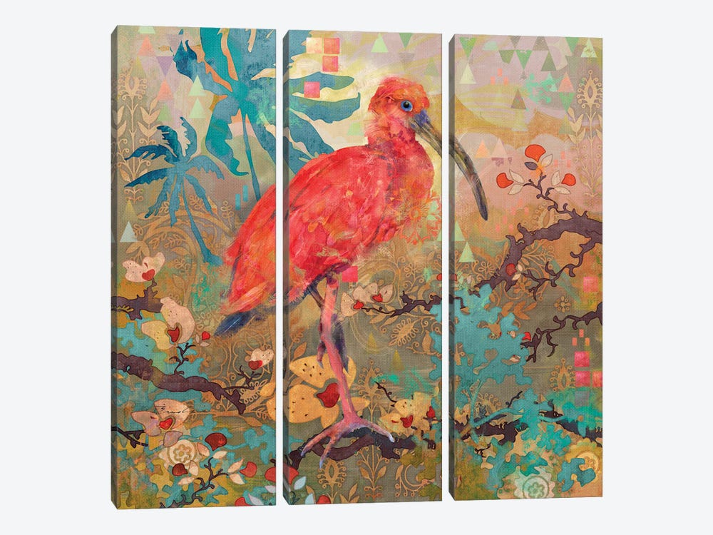 Scarlet Ibis by Evelia Designs 3-piece Art Print