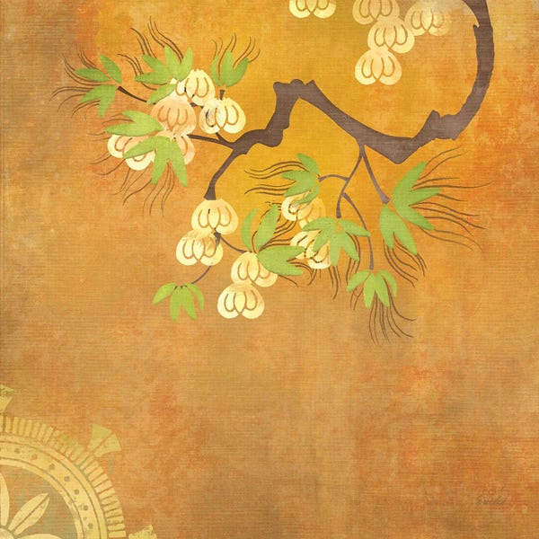 Chinese Décor: Zen Chakra by Evelia Designs