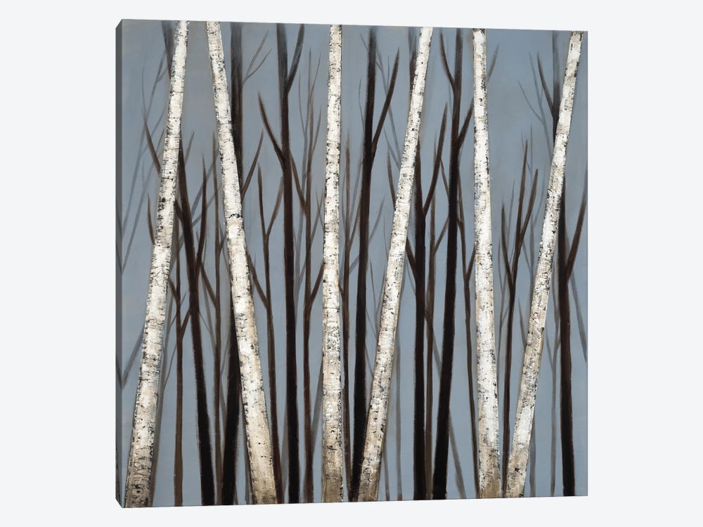 Birch Shadows by Eve 1-piece Canvas Art