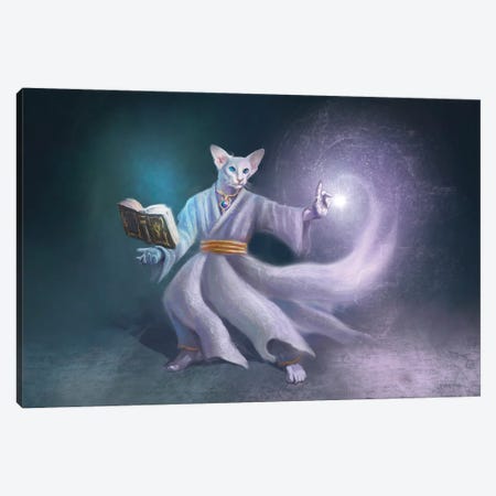 White Magic Cat Canvas Print #EVF19} by Anastasia Evgrafova Canvas Art Print