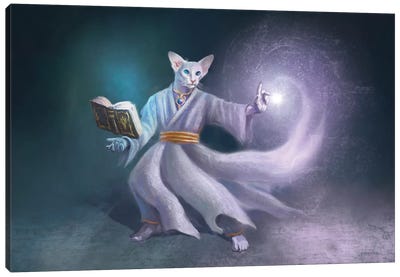 White Magic Cat Canvas Art Print - Anastasia Evgrafova