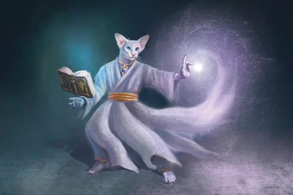 White Magic Cat