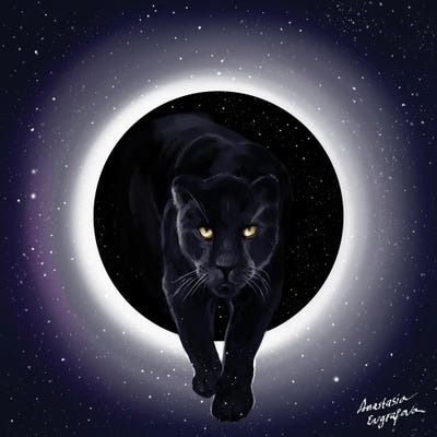 Panther by Anastasia Evgrafova canvas print