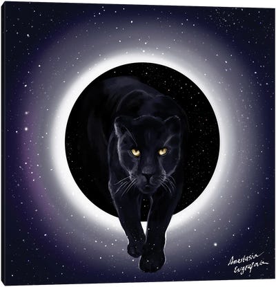 Panther Canvas Art Print - Anastasia Evgrafova