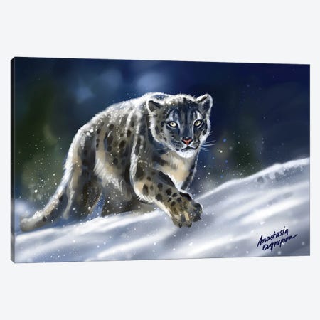 Snow Leopard Canvas Print #EVF28} by Anastasia Evgrafova Canvas Artwork