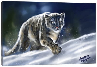 Snow Leopard Canvas Art Print - Anastasia Evgrafova