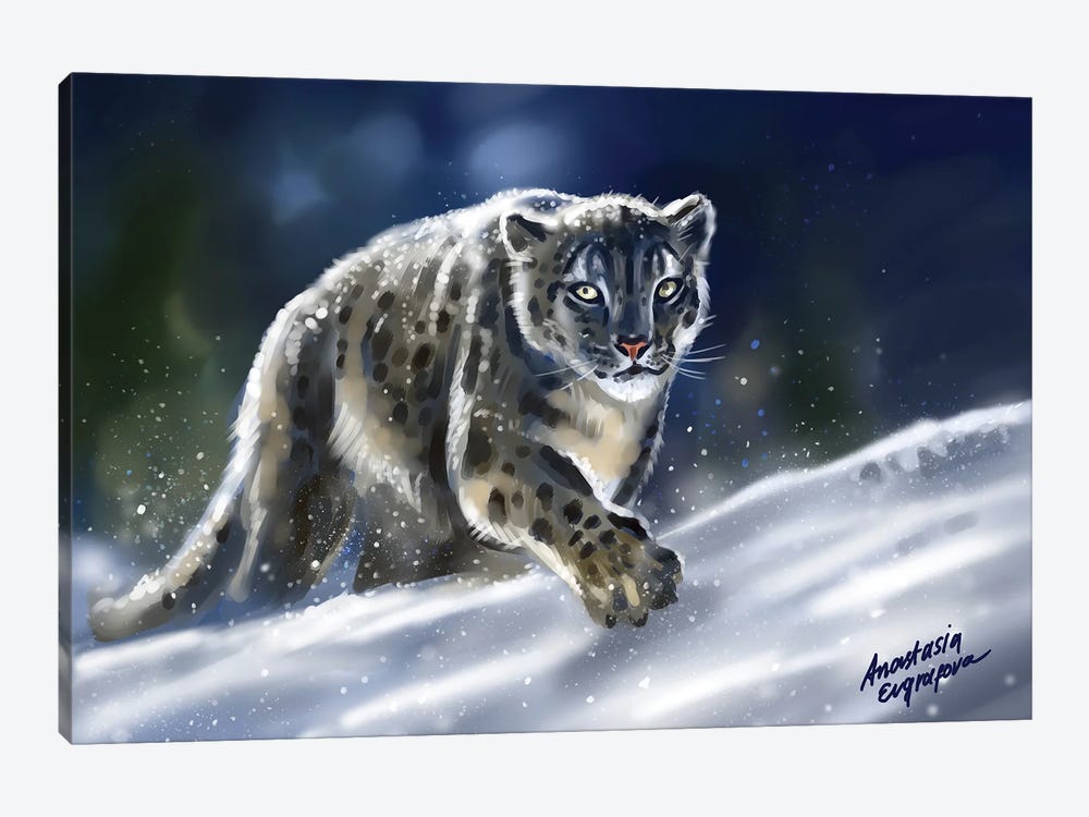 Snow Leopard by Anastasia Evgrafova 1-piece Canvas Art