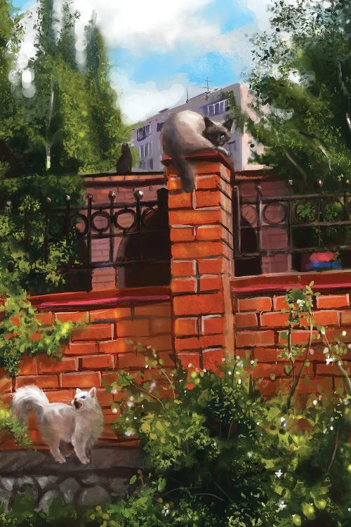 Stray Cats by Anastasia Evgrafova wall art