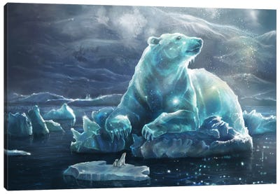 Arctic Star Canvas Art Print - Polar Bear Art