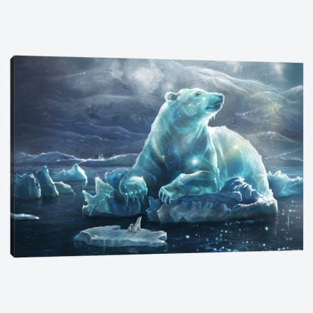Arctic Star Canvas Print #EVF37} by Anastasia Evgrafova Canvas Wall Art