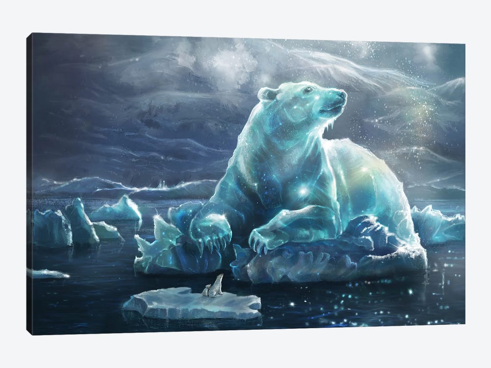 Arctic Star by Anastasia Evgrafova 1-piece Canvas Wall Art