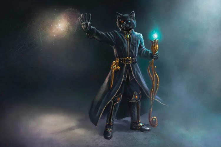 Black Magic Cat